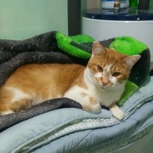 Meet your Posher, Tammy